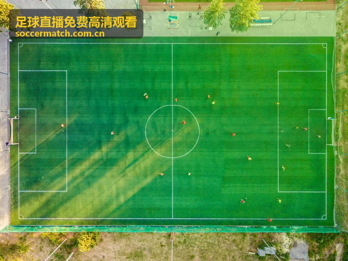 足球直播免费高清观看 - 实时比分数据更新