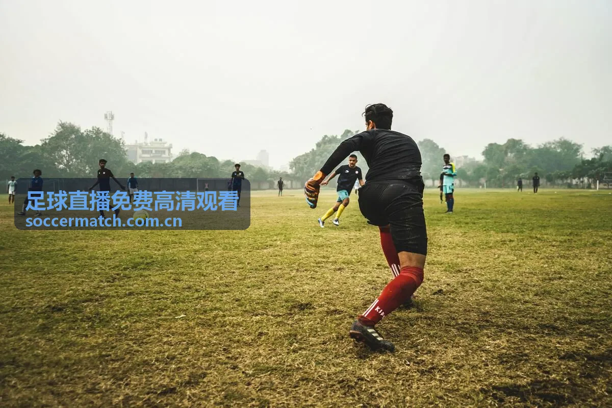 足球直播免费高清观看 - 德甲联赛直播专区